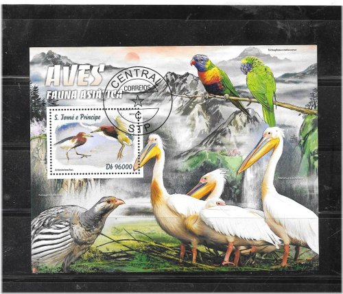 Avian Treasures of St. Thomas Collection