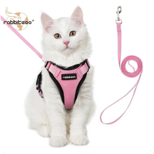 Pigo Cat Walking Set