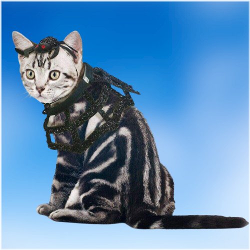 Spooky Pet Costume Set