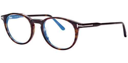 Sapphire Clip-On Eyeglass Frames