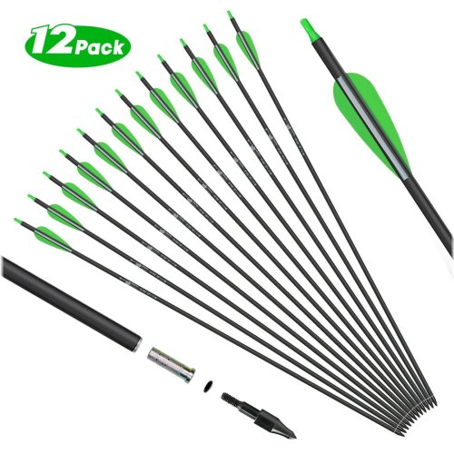Precision Carbon Arrows Set