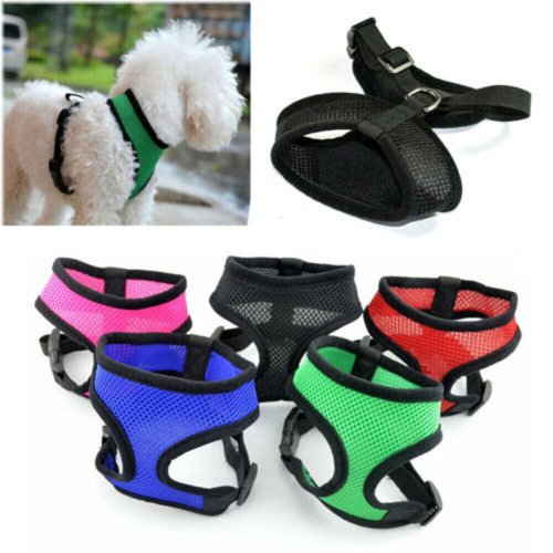 Breathable Mesh Padded Pet Harness with Soft Comfortable Fit for Puppies and Cats (Sizes M-L-XL)