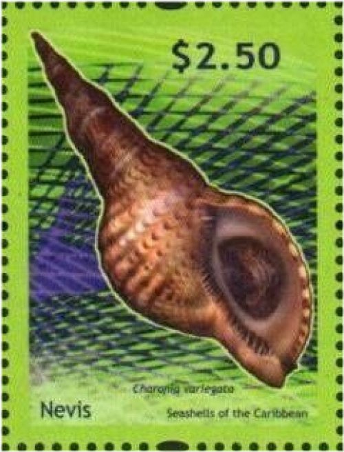 Caribbean Sea Shells Stamp Set