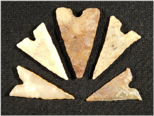 Antique Tidikelt Arrowhead Collection