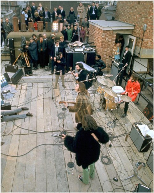 Iconic Rooftop Concert Moment - 8x10 Photo