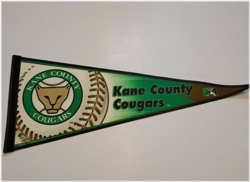 Cougars Minor League Baseball Pennant Flag - Vintage Collection