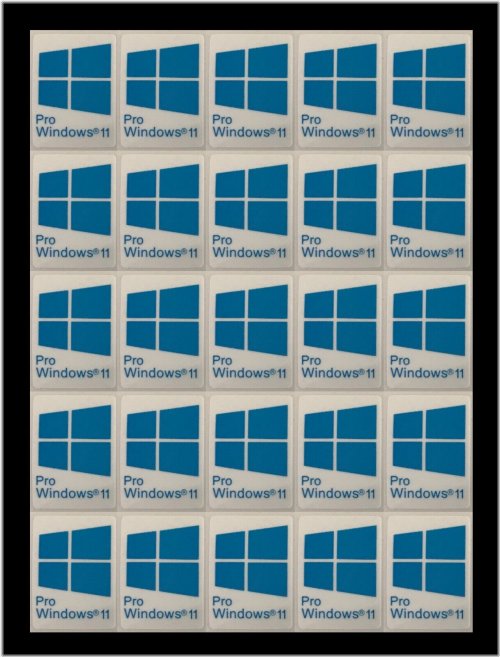 Blue Badge Decals for Window 11 Pro Tablets and eBook Readers