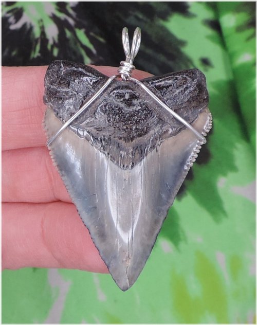 Ancient Megalodon Tooth Pendant