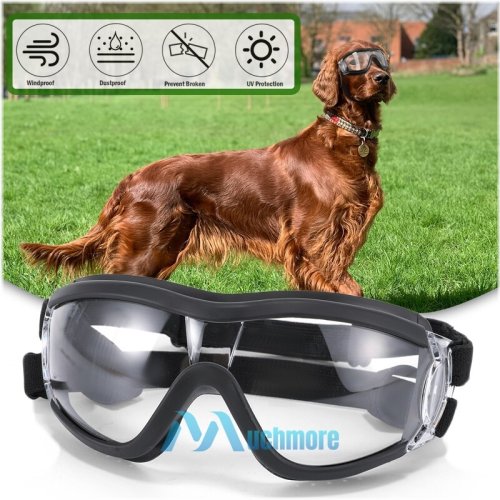 Pawsafe UV Shield Goggles
