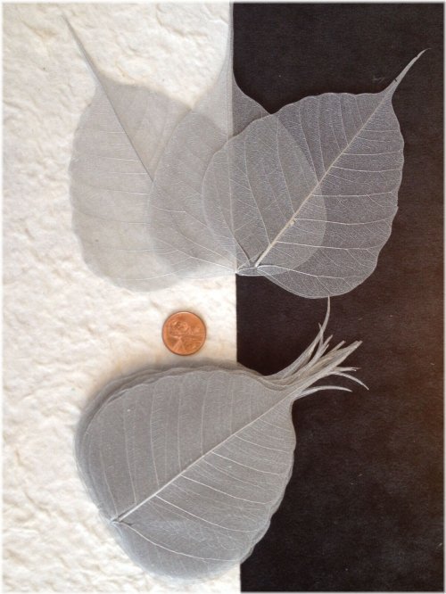 Silver Banyan Leaf Bouquet