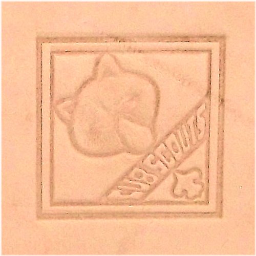 Scout Stamp Leather Tool