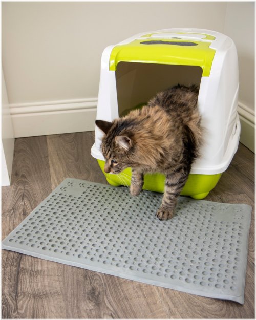 Pawsome Pawprints Absorbent Litter Mat