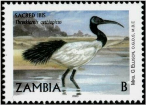 Zambian Avian Elegance Stamp