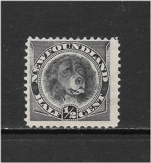 Newfoundland Dog Stamp - 1894 1/2c Black Issue