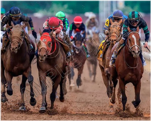 Derby Winner Tribute Photo: Mystic Dan 2024