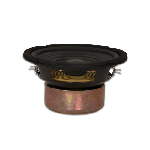 Golden Voice 6.5" Dual Coil Woofer