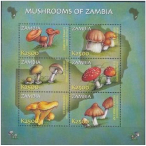 Zambian Mushroom Marvels Stamp Collection