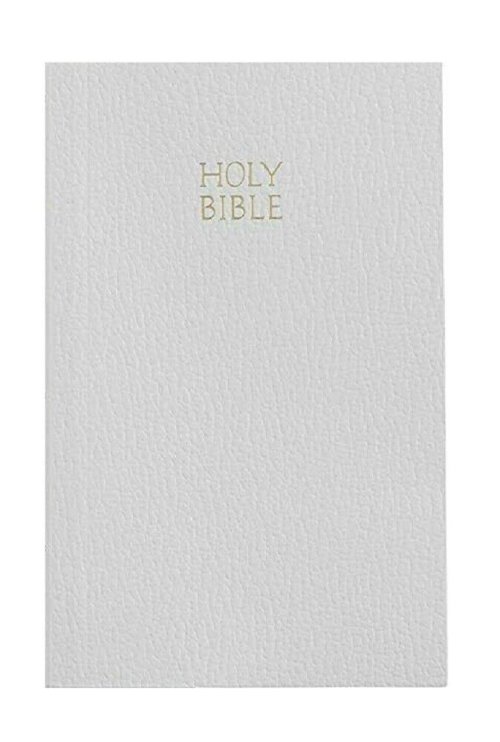 Tiny Treasures Bible