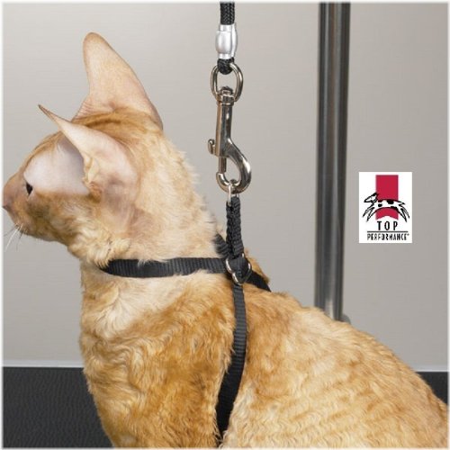 Feline Focus Restraint System