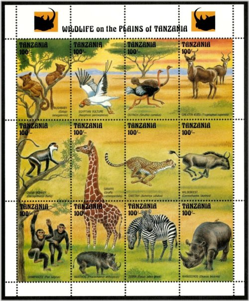 Savannah Serenade Stamp Collection