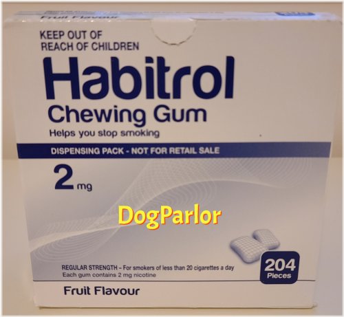 Nicotine Relief Fruit Gum - Bulk Pack