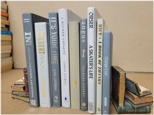 Silver Spines Collection: A Set of 6 Modern Hardcover Books for Stylish Decor