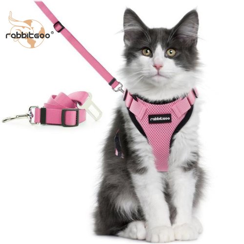 Pigo Cat Walking Set