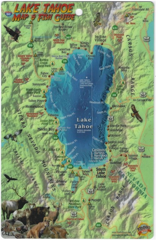 Tahoe Angler's Waterproof Map & Fish Guide