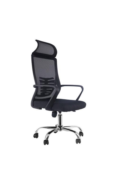 Black Mesh Lumbar Chair