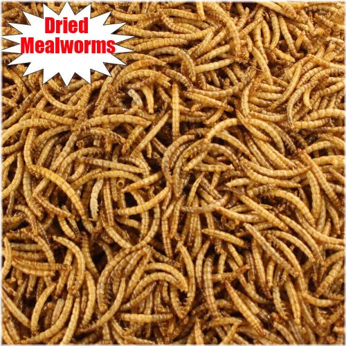 Winged Delight Dried Mealworms