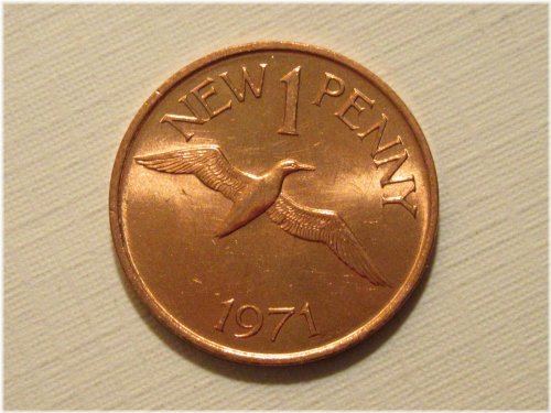 Gannet Bird Guernsey Penny