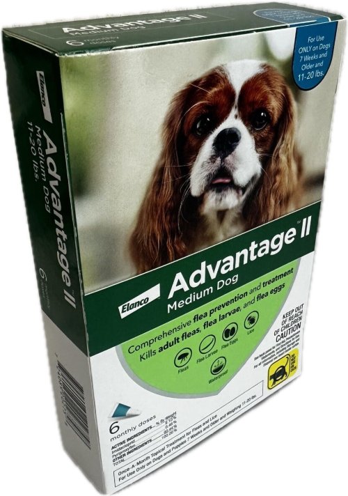 Flea and Tick Relief for Medium Dogs