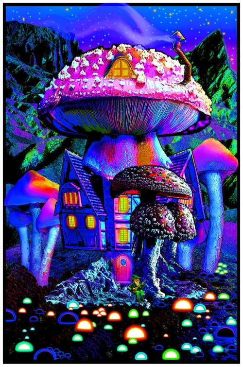 Enchanted Fungi" - High-Quality Art Poster