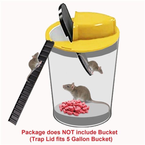 Slide & Catch Rodent Control System