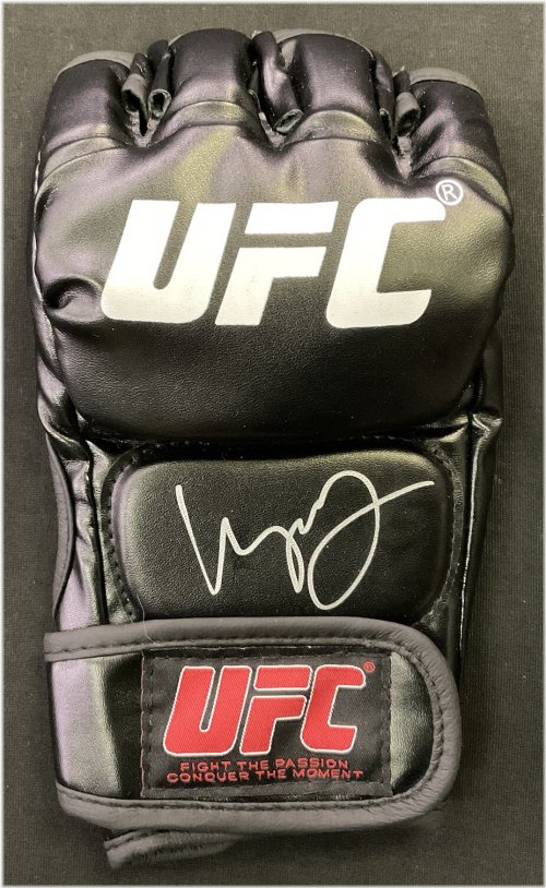 Champion's Marked Glove