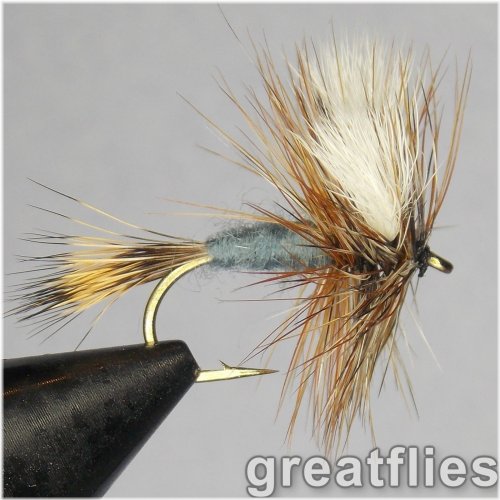 Trout Whisperer Collection