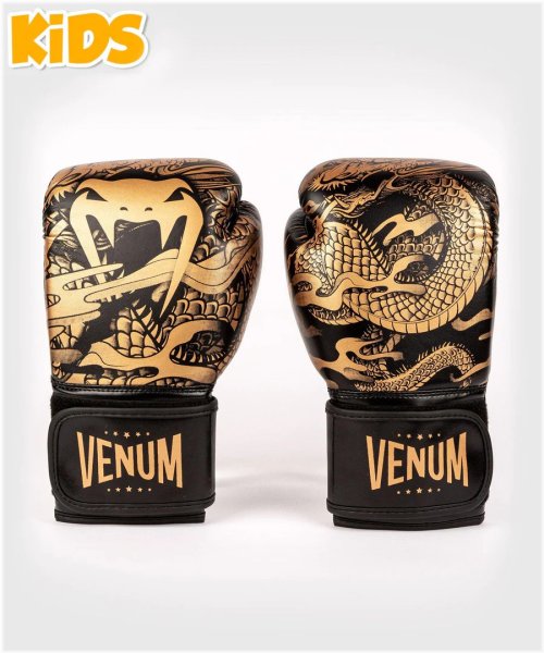 Dragon Flight Youth Boxing Gloves - Black/Bronze