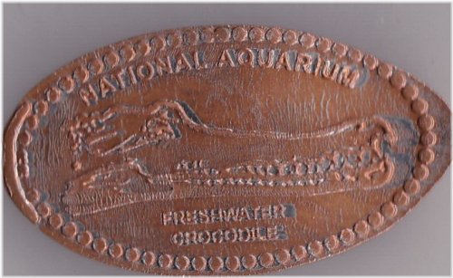 Aqua Croc Elongated Penny