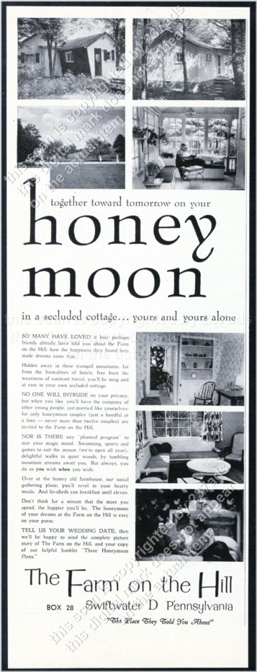 Rustic Retreat Vintage Print Ad