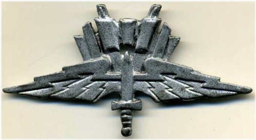 Galactic Trooper Wings Pin