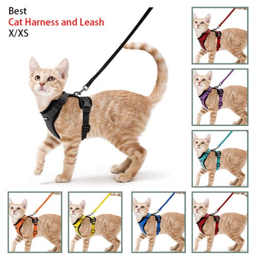 Feline Freedom Harness and Leash Set