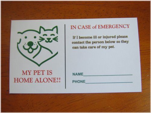 PawPrint Emergency Contact Cards for Dogs