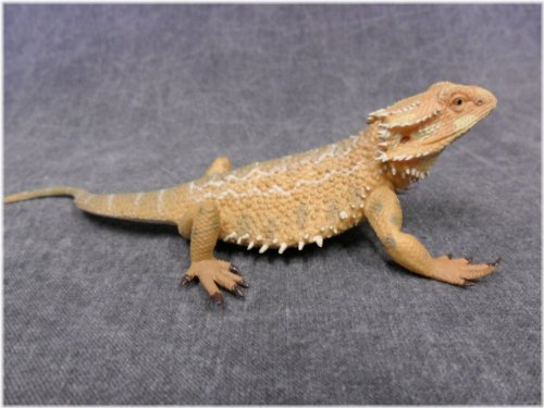 Bearded Dragon Wildlife Figurine by CollectA