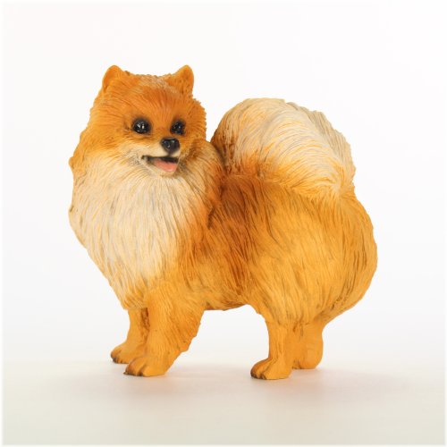 Whimsical Pomeranian Delight