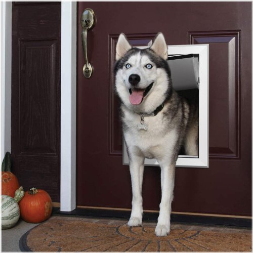 Magnetic Locking Dog Door with Large Flap for Wall Entry by Ownpets