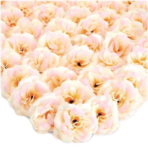 Champagne Bloom Collection - 50 Stemless Silk Cloth Roses