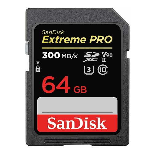 Extreme PRO 64GB Speedy Memory Card