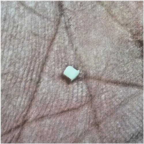 Vintage White Dot for Repair