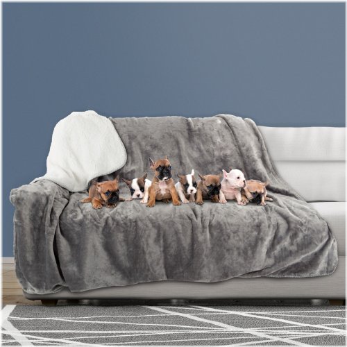 Rainy Day Pet Protector XL Blanket - 70 x 60 Gray