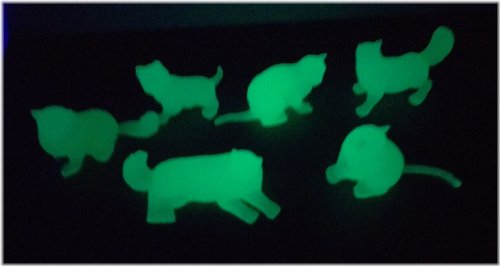 Nighttime Feline Poses Collection